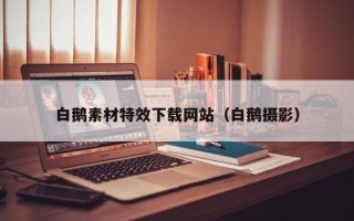 乌鲁木齐白鹅素材特效下载网站（白鹅摄影）